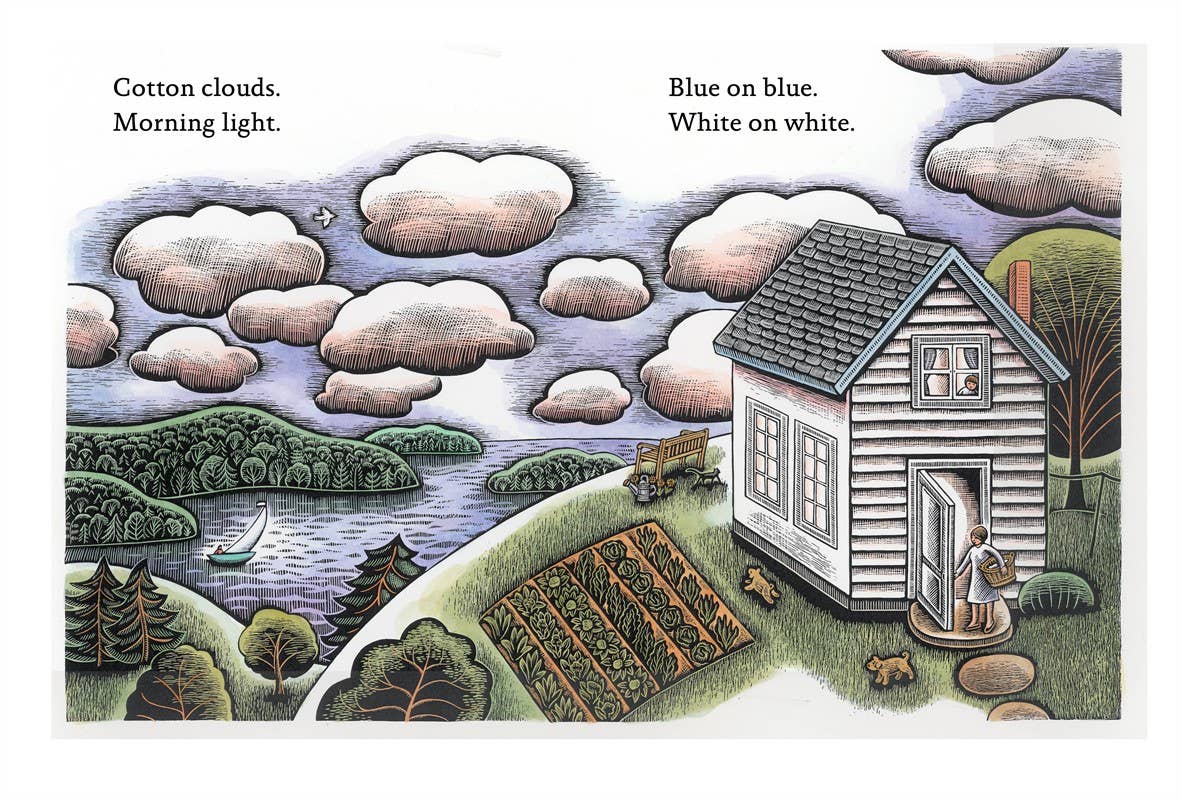 Blue on Blue by Dianne White: Hardcover; 48 pages / English