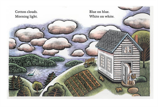 Blue on Blue by Dianne White: Hardcover; 48 pages / English