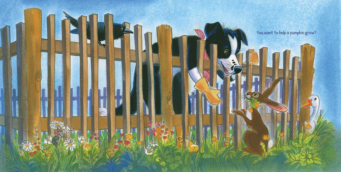 How to Help a Pumpkin Grow by Ashley Wolff: Hardcover; 40 pages / English