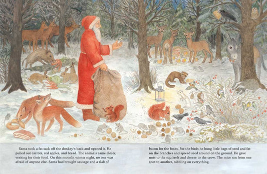Santa Claus and the Dormouse by Eleonore Schmid: Hardcover; 32 pages / English