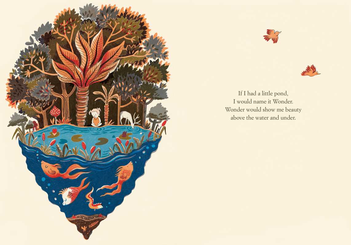If I Had a Little Dream by Nina Laden: Hardcover; 32 pages / English