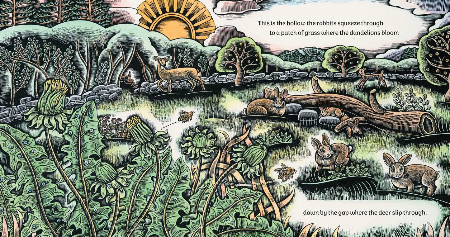 Where the Deer Slip Through by Katey Howes: Hardcover; 32 pages / English