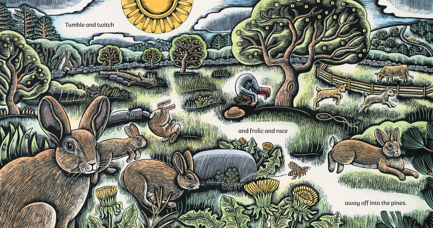 Where the Deer Slip Through by Katey Howes: Hardcover; 32 pages / English