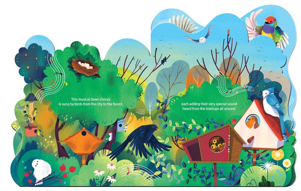 Birdsong Baby Board Book