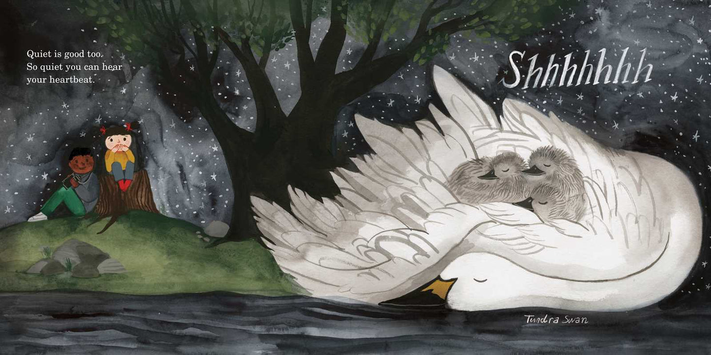 How to Find a Bird by Jennifer Ward: Hardcover; 48 pages / English