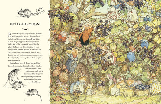 Visit to Brambly Hedge, A : Jill Barklem