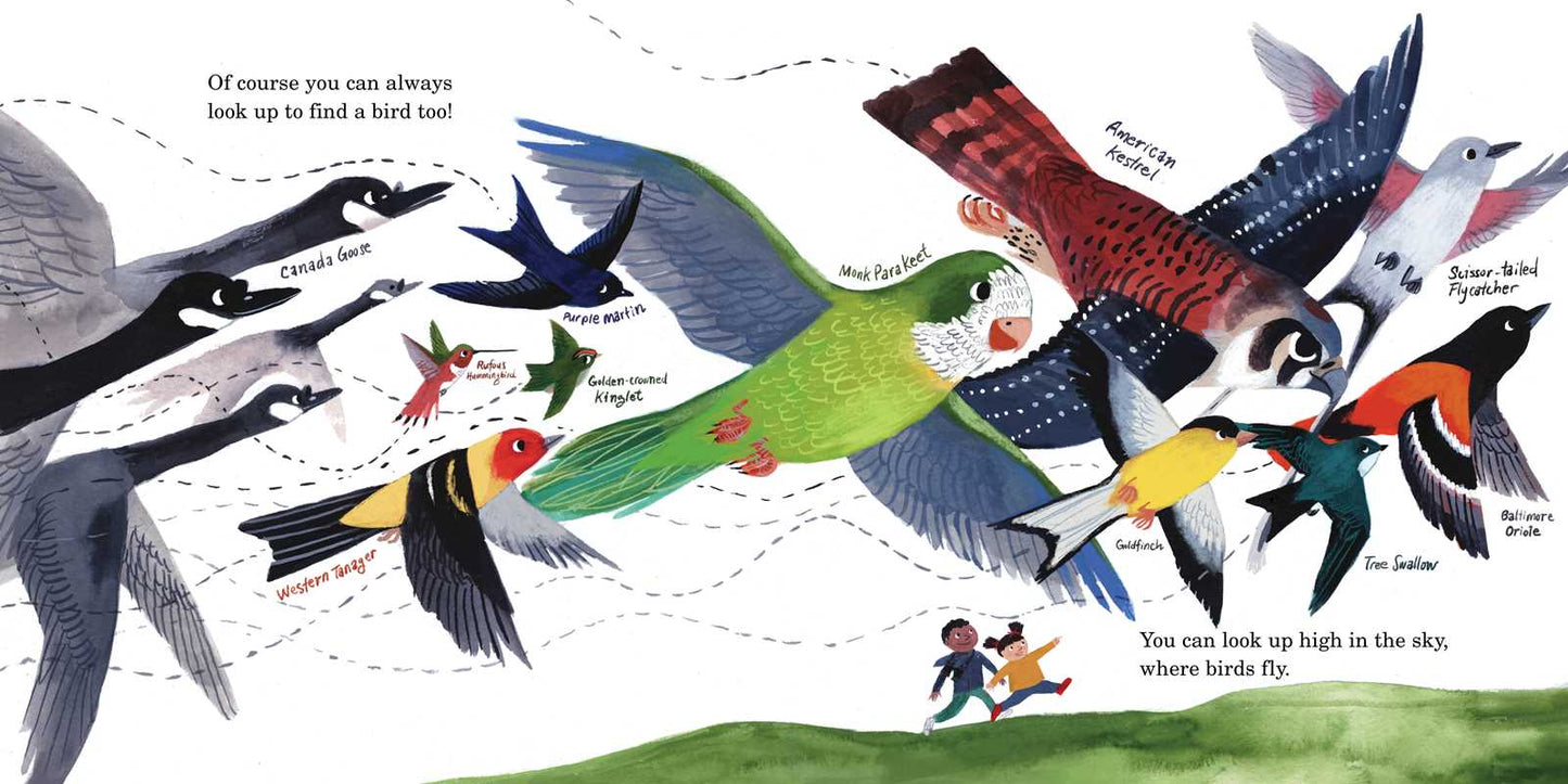 How to Find a Bird by Jennifer Ward: Hardcover; 48 pages / English