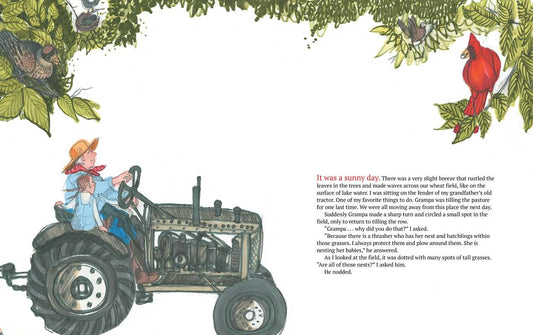 Palace of Books by Patricia Polacco: Hardcover; 56 pages / English