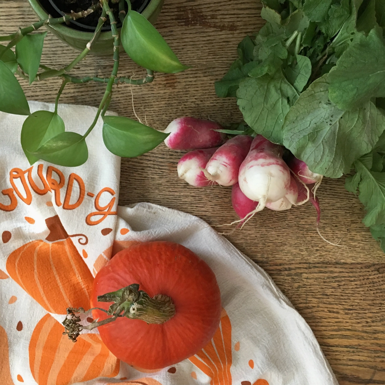 Pumpkin/ Gourd Tea Towel