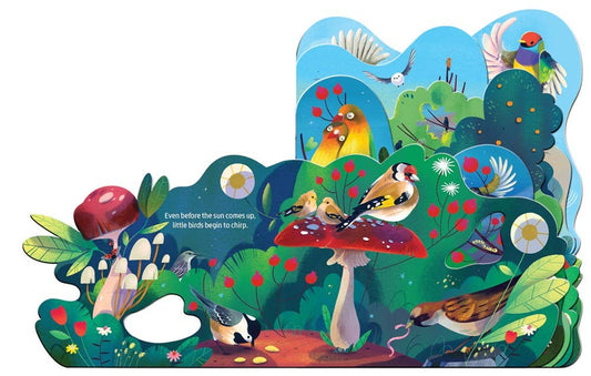 Birdsong Baby Board Book