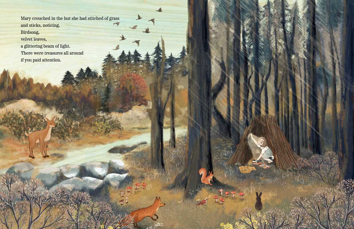 Woods & Words by Sara Holly Ackerman: Hardcover; 40 pages / English