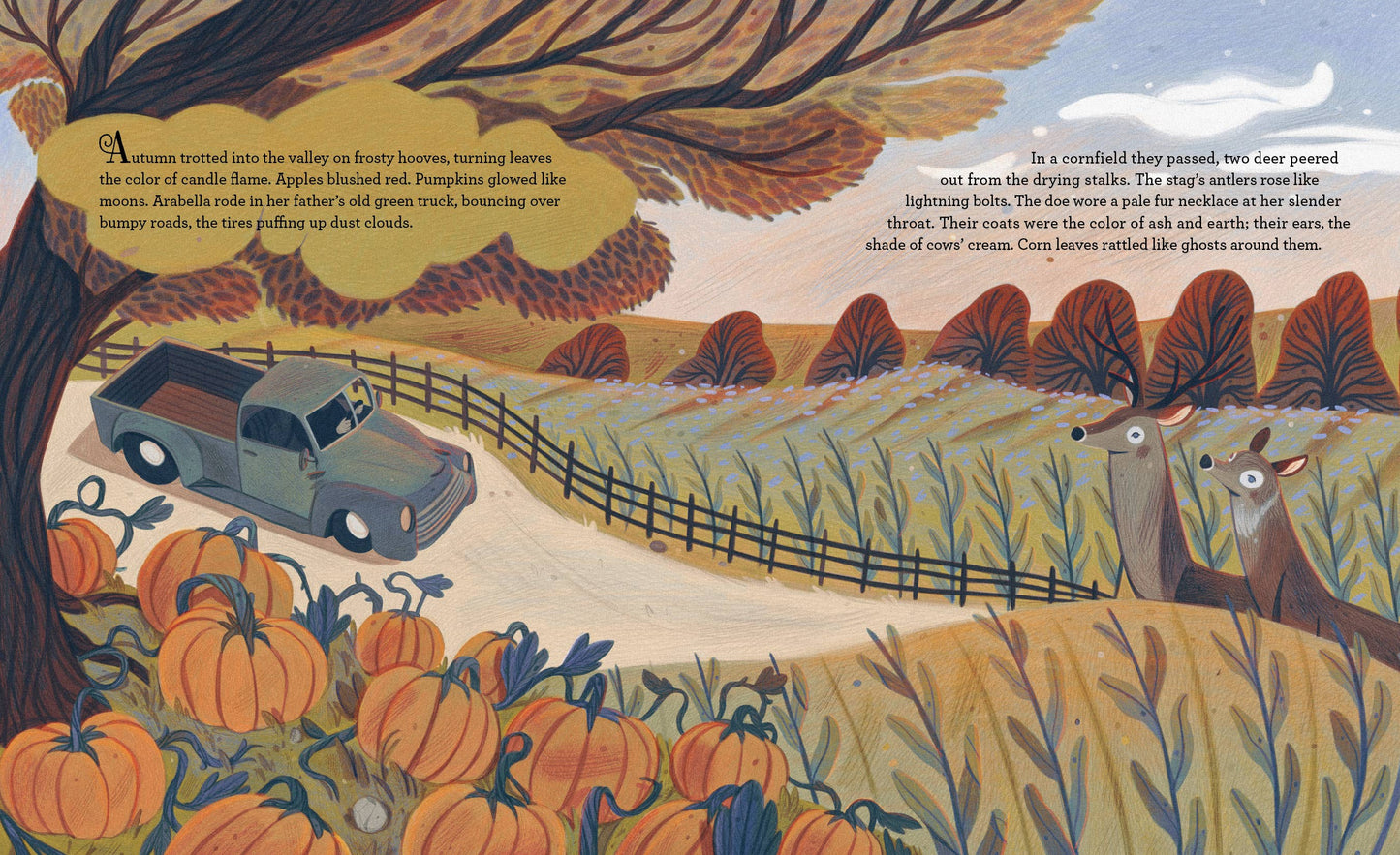 Night of the Deer Picture Book