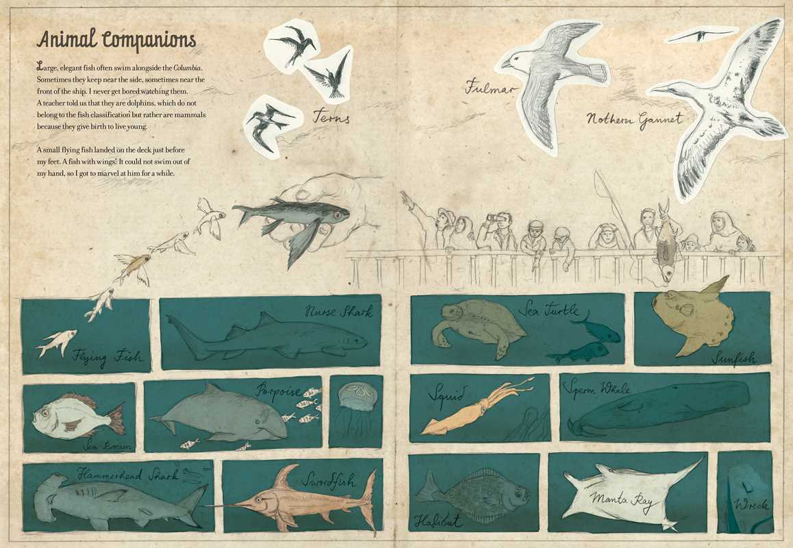 Wilhelm's Journey by Anke Bär: Hardcover; 72 pages / English