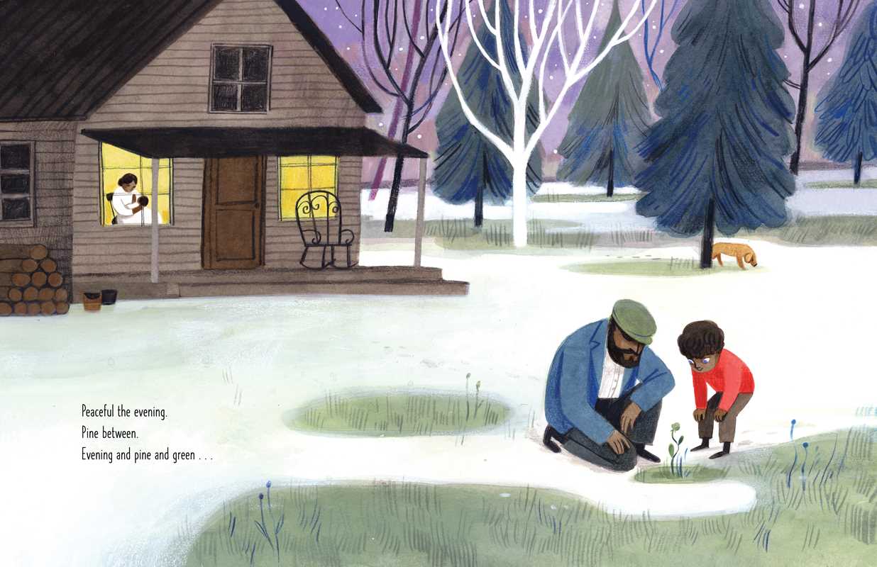 Green on Green by Dianne White: Hardcover; 48 pages / English