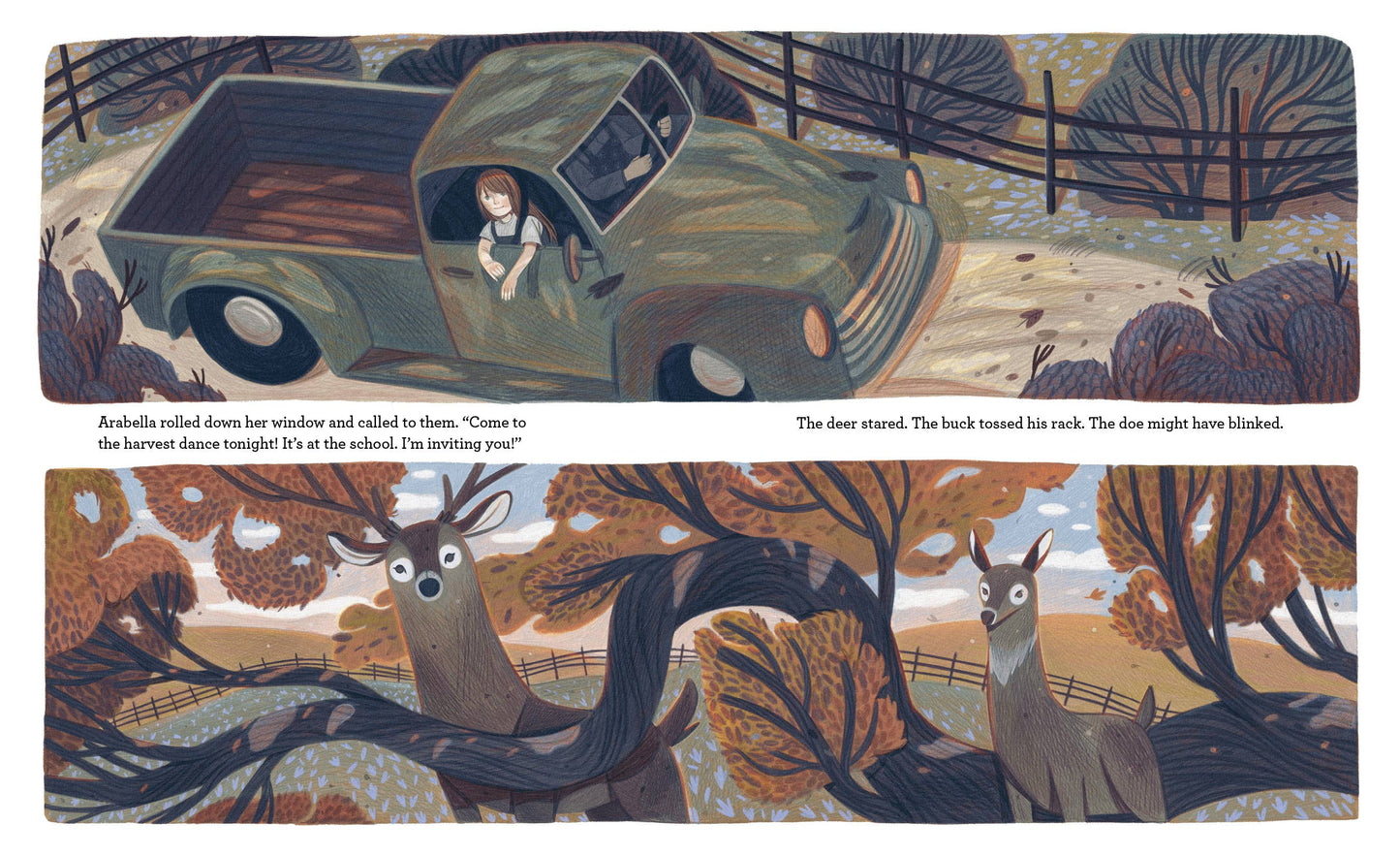 Night of the Deer Picture Book