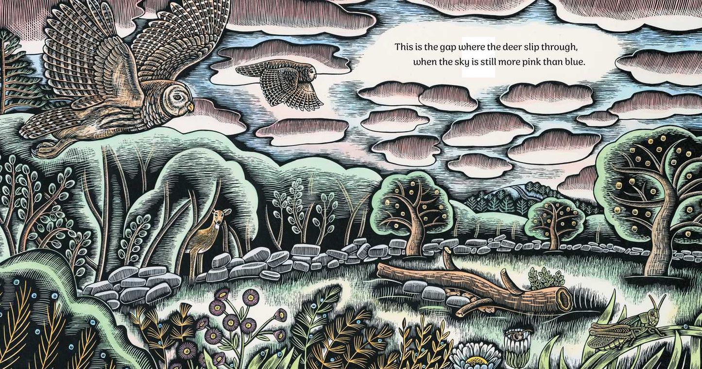 Where the Deer Slip Through by Katey Howes: Hardcover; 32 pages / English