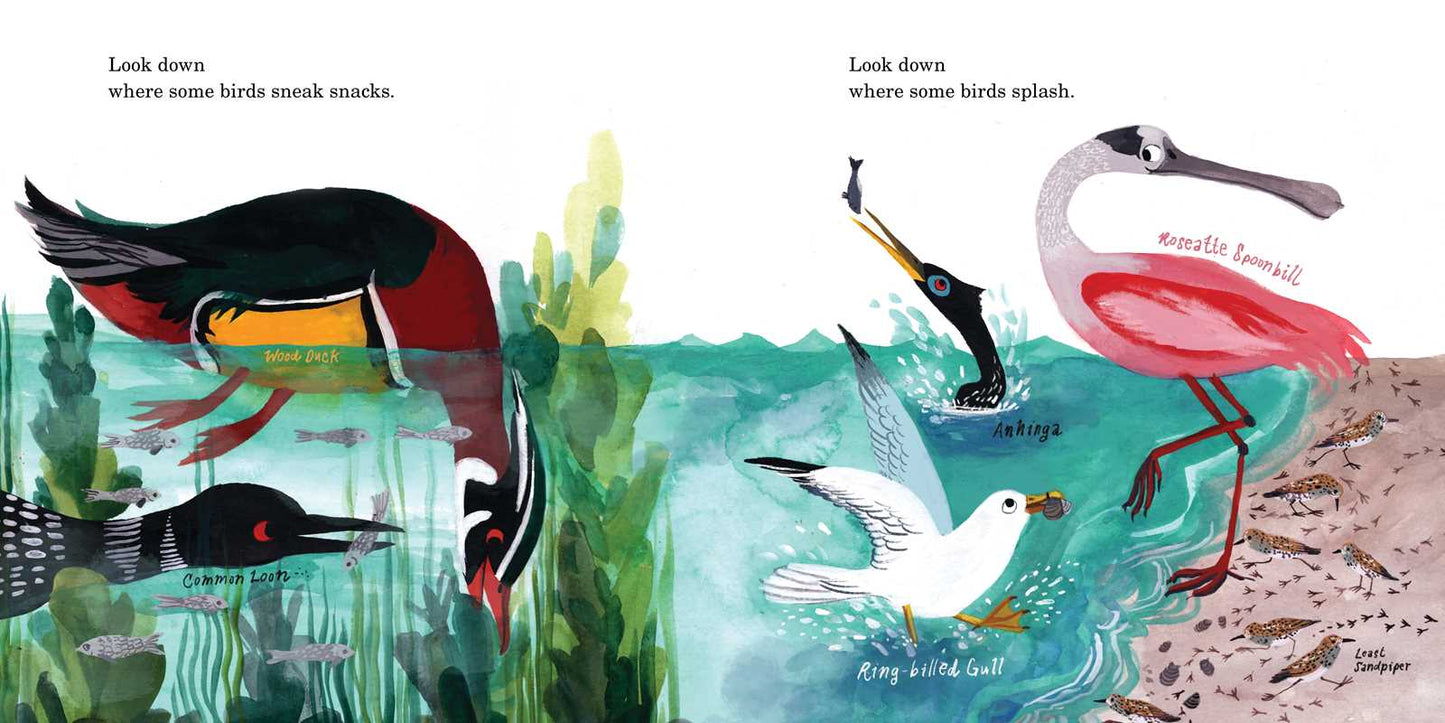 How to Find a Bird by Jennifer Ward: Hardcover; 48 pages / English