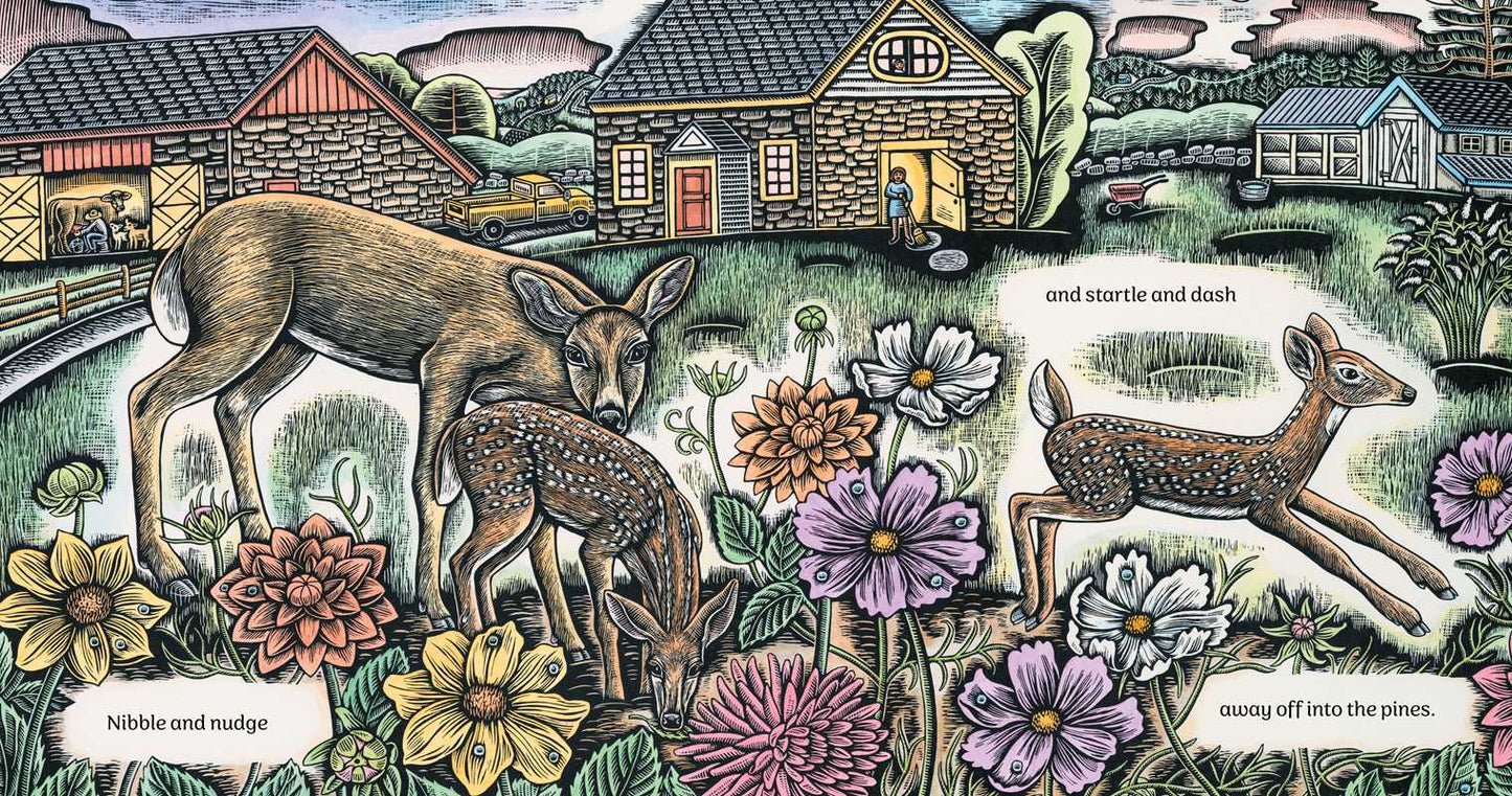 Where the Deer Slip Through by Katey Howes: Hardcover; 32 pages / English