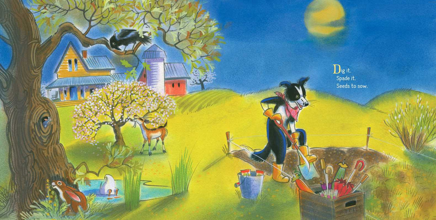 How to Help a Pumpkin Grow by Ashley Wolff: Hardcover; 40 pages / English