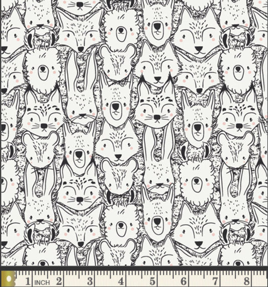 Wild Friends - Capsules Pacha - AGF Studio