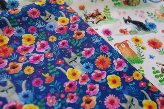 Miriam Bos - Where's Kitty? - Catitude - Dear Stella