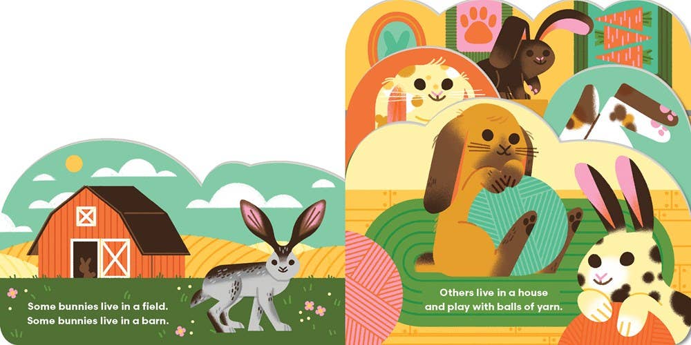 Some Bunnies Baby Board Book
