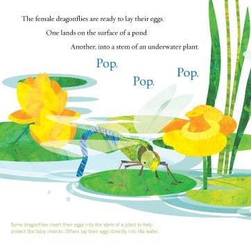 Soar High, Dragonfly! a picture book