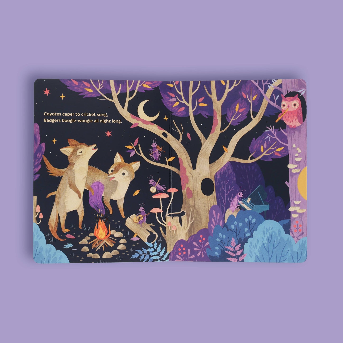 Moonlight Prance - Board Book