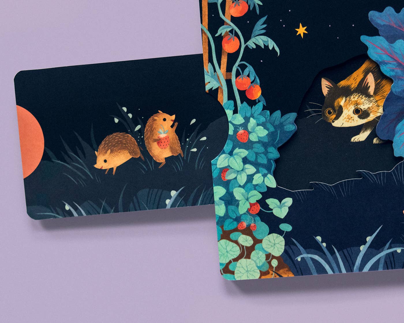 Moonlight Prance - Board Book