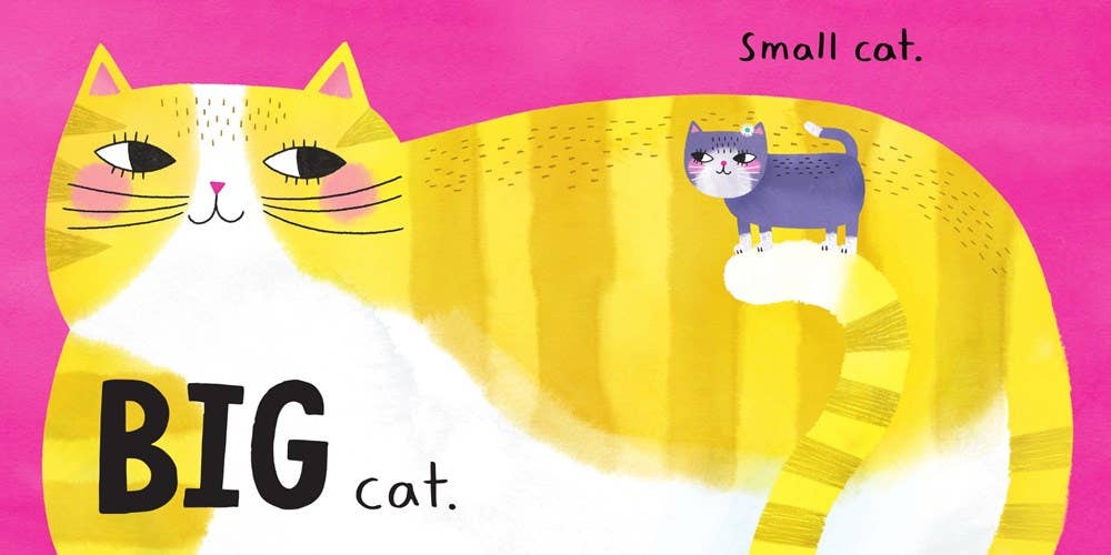 Hi, Cat. Bye, Cat. board book: Jade Orlando