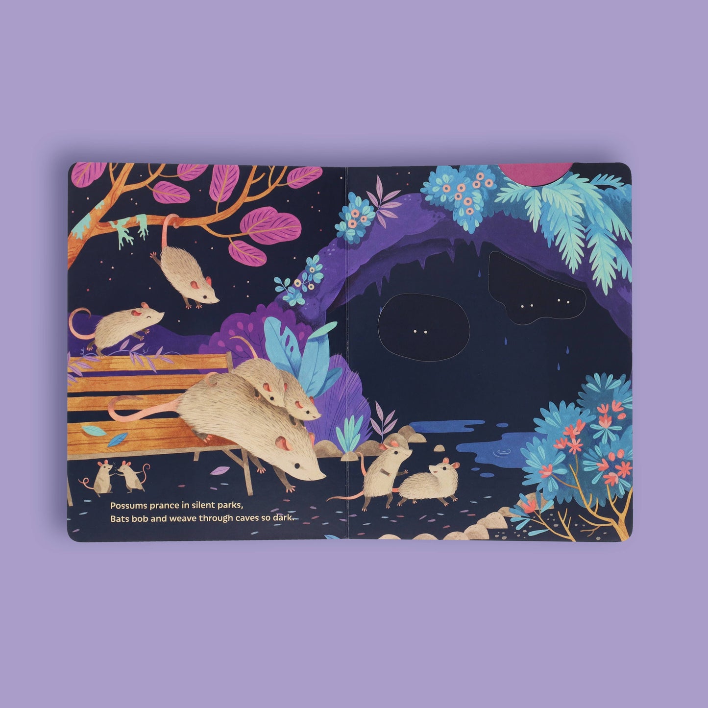 Moonlight Prance - Board Book