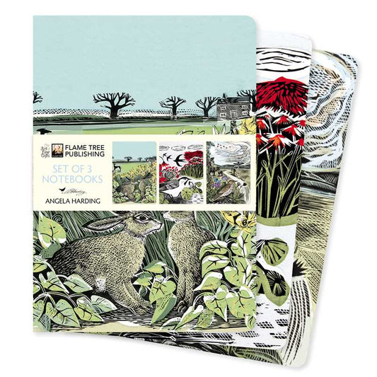 Angela Harding: Landscapes Set of 3 Standard Notebooks by: Notebook / blank book; 64 pages / English