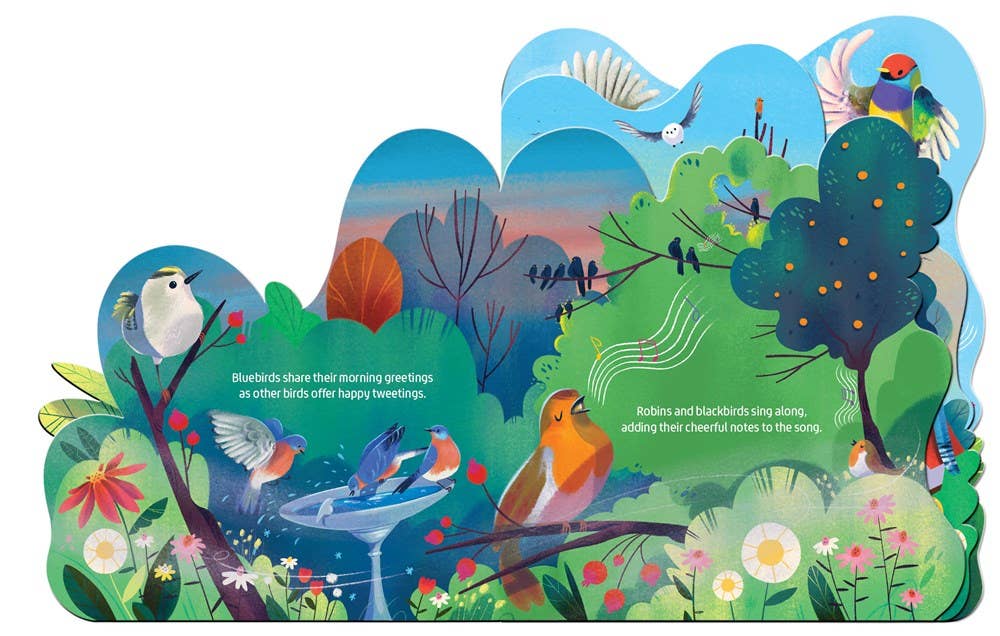 Birdsong Baby Board Book