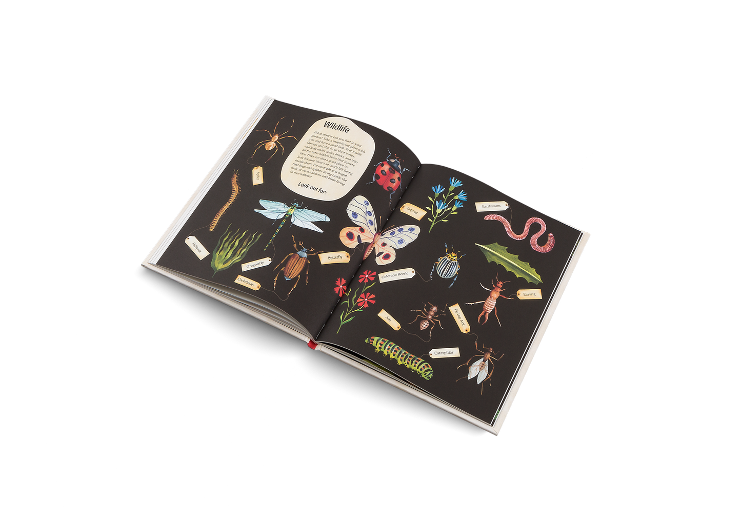 Easy Peasy – Gardening for Kids