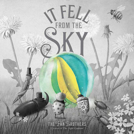 It Fell from the Sky by Terry Fan: Hardcover; 56 pages / English