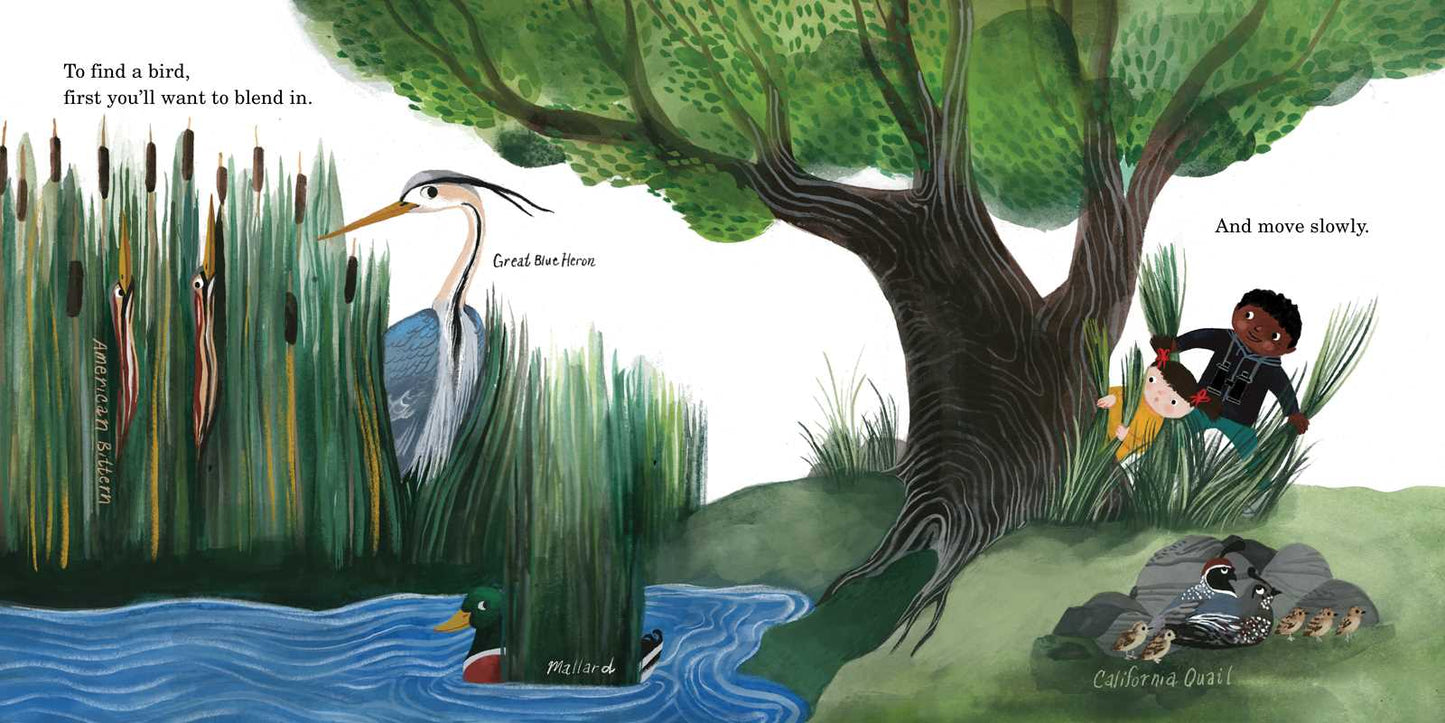 How to Find a Bird by Jennifer Ward: Hardcover; 48 pages / English