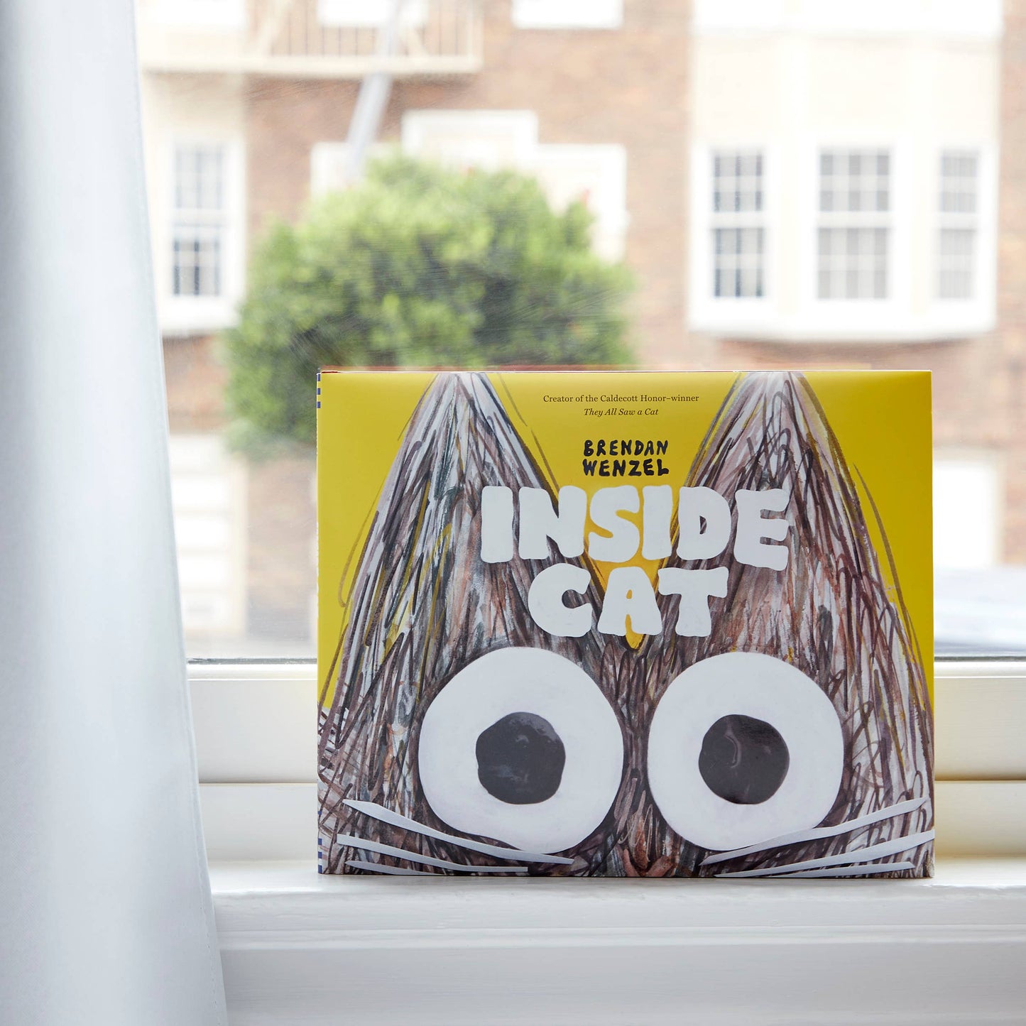 Inside Cat