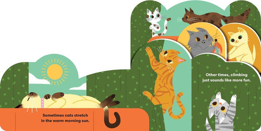 Some Cats Baby Board Book