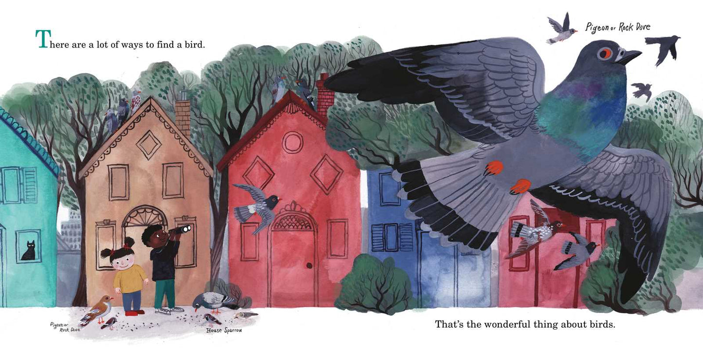 How to Find a Bird by Jennifer Ward: Hardcover; 48 pages / English