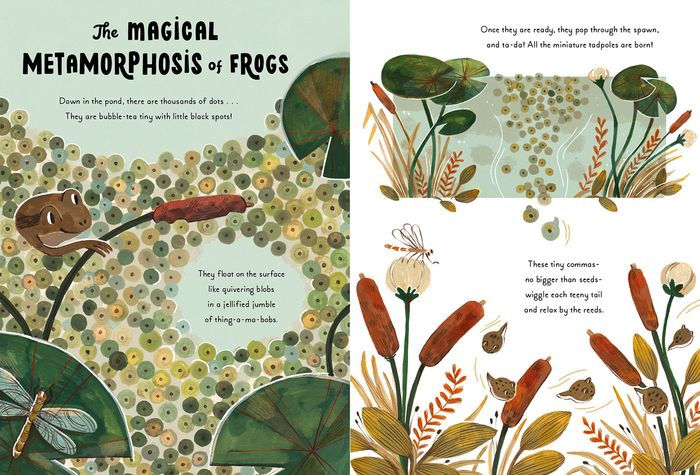 5-Minute Nature Stories