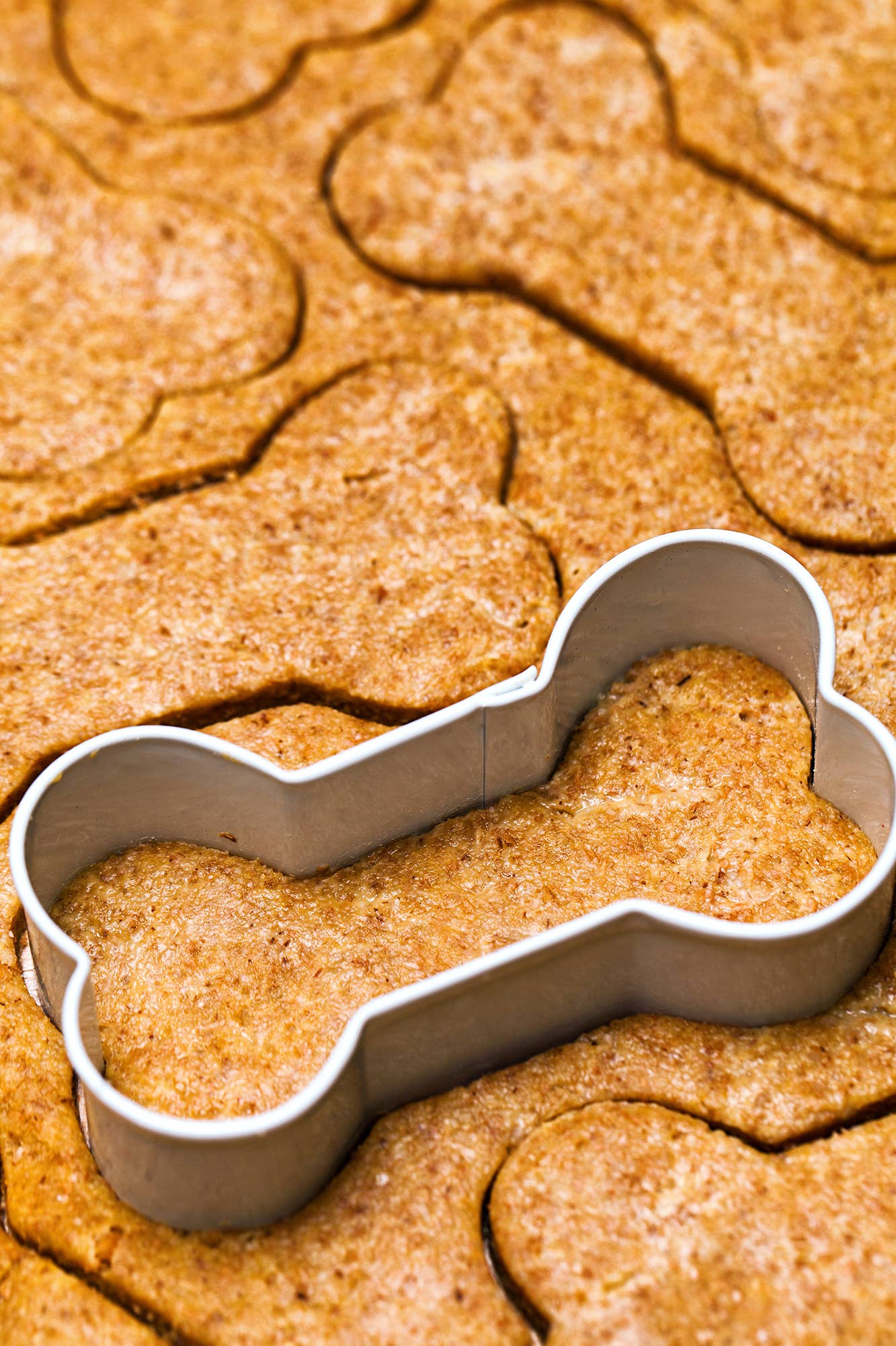 Fox Run Dog Bone Cookie Cutter Set, 3-Piece, 2” to 3.5”