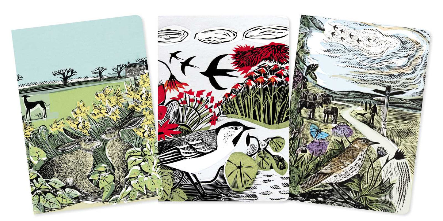Angela Harding: Landscapes Set of 3 Standard Notebooks by: Notebook / blank book; 64 pages / English