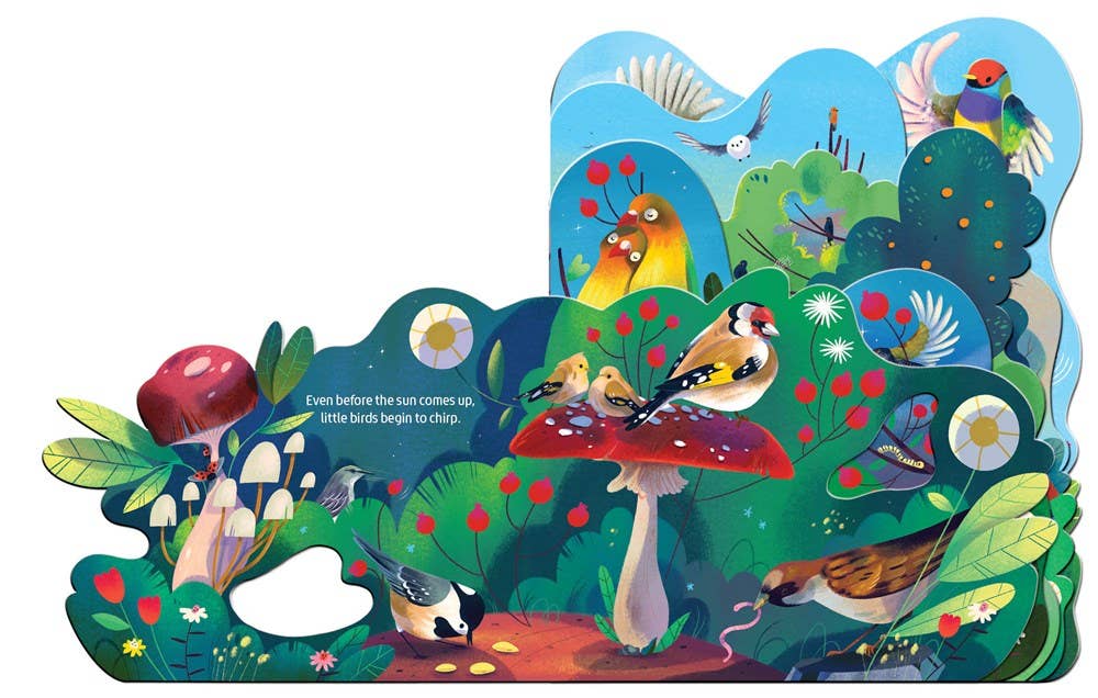 Birdsong Baby Board Book