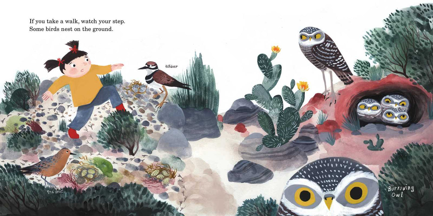 How to Find a Bird by Jennifer Ward: Hardcover; 48 pages / English