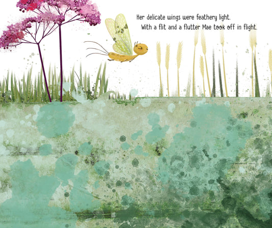 Mae the Mayfly, a picture book