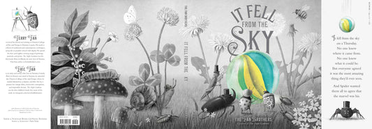 It Fell from the Sky by Terry Fan: Hardcover; 56 pages / English