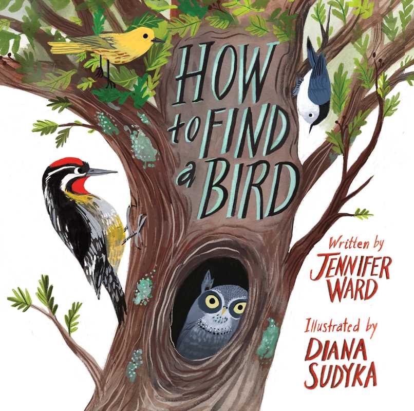 How to Find a Bird by Jennifer Ward: Hardcover; 48 pages / English
