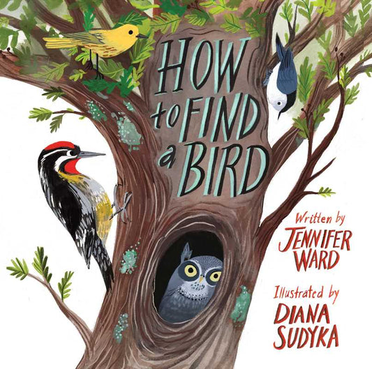 How to Find a Bird by Jennifer Ward: Hardcover; 48 pages / English