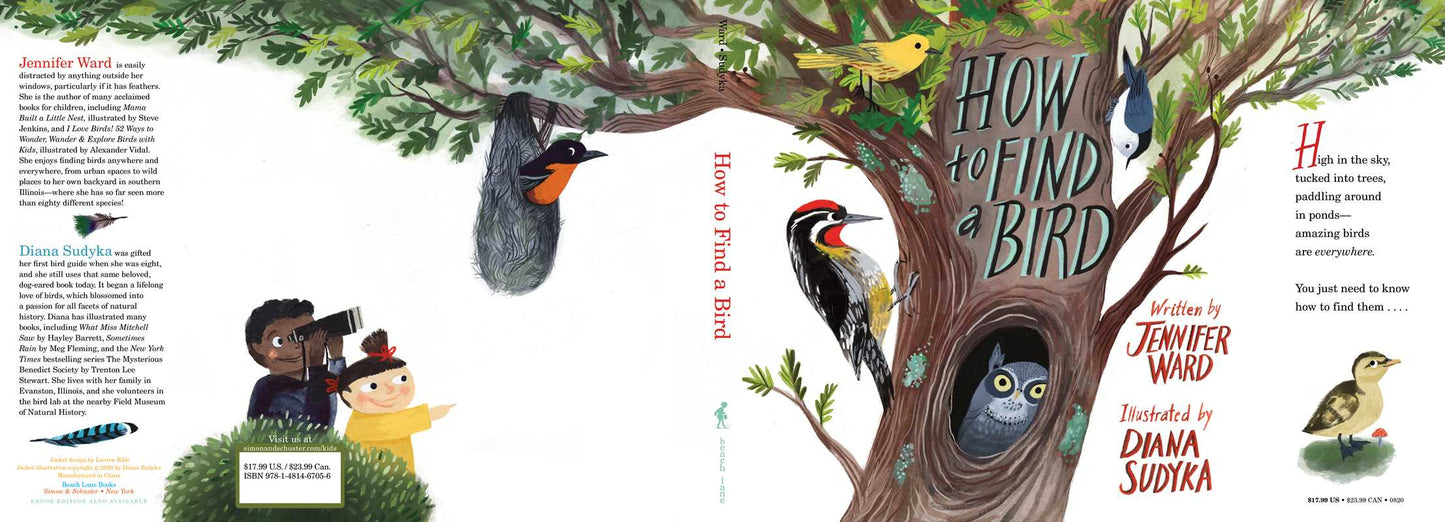 How to Find a Bird by Jennifer Ward: Hardcover; 48 pages / English