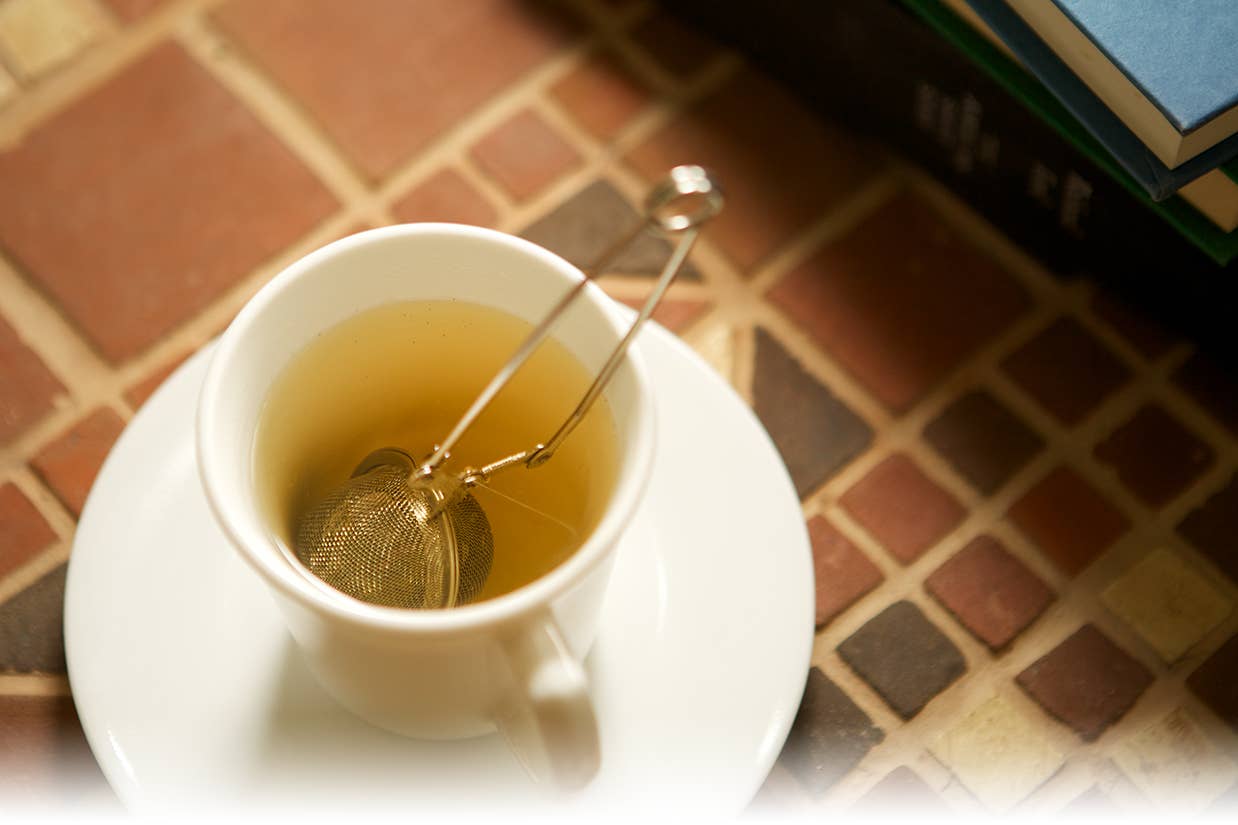 Fox Run Mesh Spring Tea Infuser, 2" x 1.5" x 6.25"